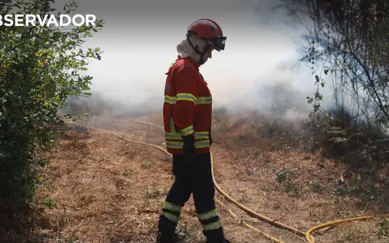 Pré-visualização de uma publicação de Observador