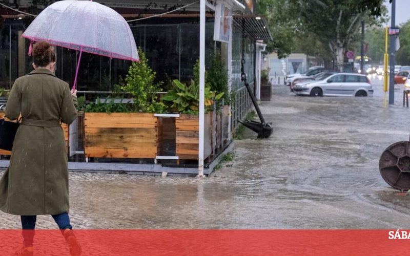 Pré-visualização de uma publicação de Sábado
